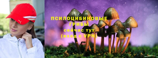 стафф Бугульма